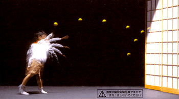 丈夫で破れにくい障子